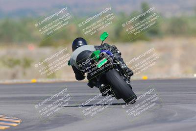 media/Oct-01-2023-SoCal Trackdays (Sun) [[4c570cc352]]/Turn 14 Backside (1120am)/
